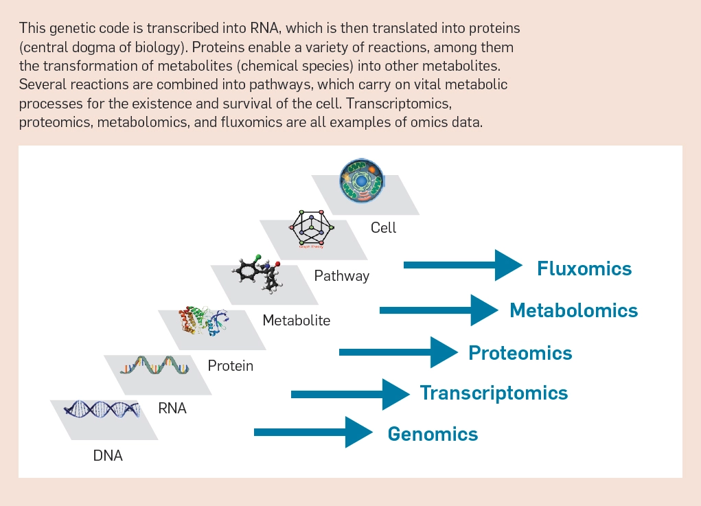 AI 與合成生物學(xué)「聯(lián)姻」的五大挑戰(zhàn)：技術(shù)、數(shù)據(jù)、算法、評(píng)估與社會(huì)學(xué)(圖2)