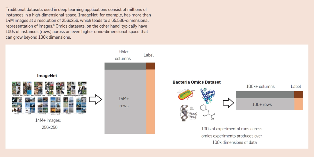 AI 與合成生物學(xué)「聯(lián)姻」的五大挑戰(zhàn)：技術(shù)、數(shù)據(jù)、算法、評(píng)估與社會(huì)學(xué)(圖8)